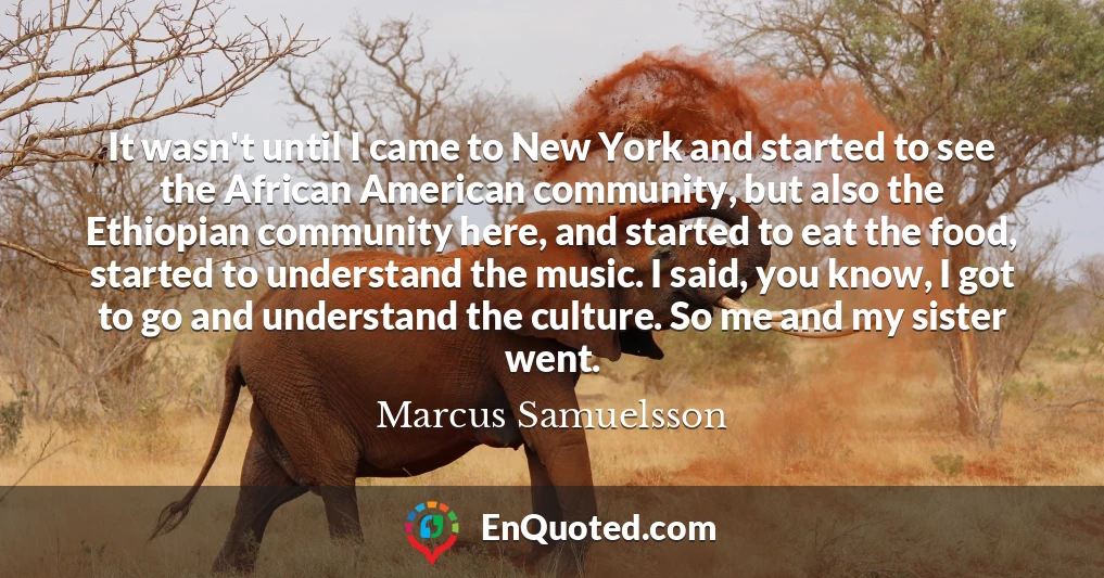 It wasn't until I came to New York and started to see the African American community, but also the Ethiopian community here, and started to eat the food, started to understand the music. I said, you know, I got to go and understand the culture. So me and my sister went.