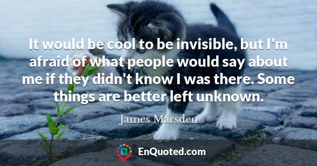 It would be cool to be invisible, but I'm afraid of what people would say about me if they didn't know I was there. Some things are better left unknown.