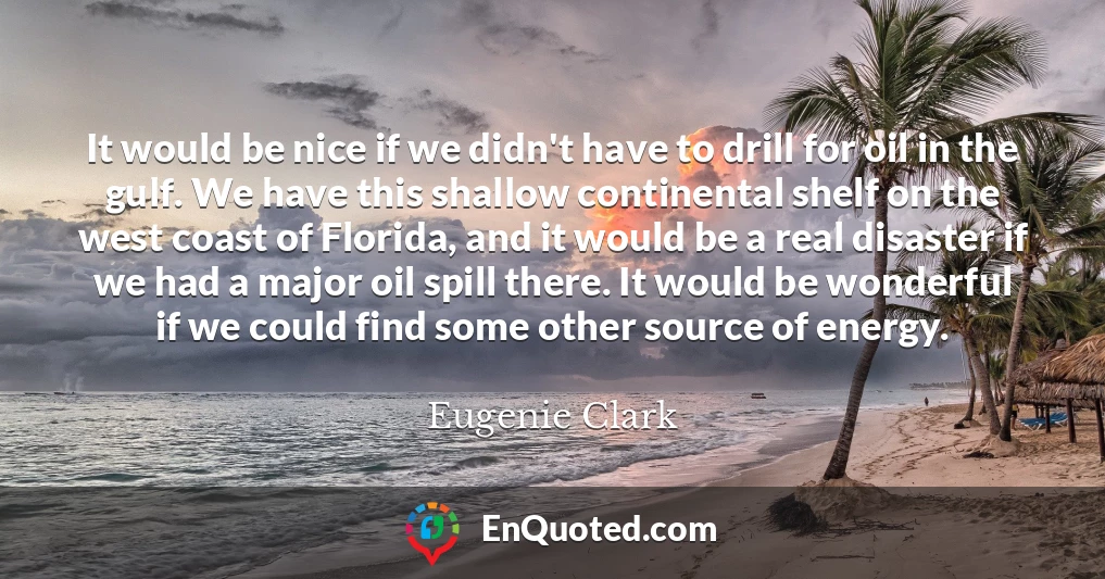 It would be nice if we didn't have to drill for oil in the gulf. We have this shallow continental shelf on the west coast of Florida, and it would be a real disaster if we had a major oil spill there. It would be wonderful if we could find some other source of energy.
