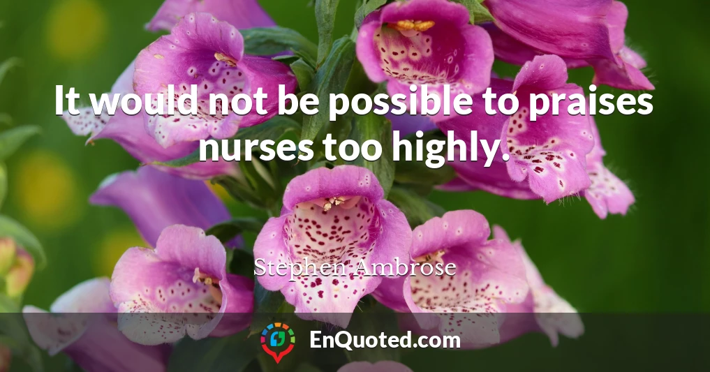 It would not be possible to praises nurses too highly.