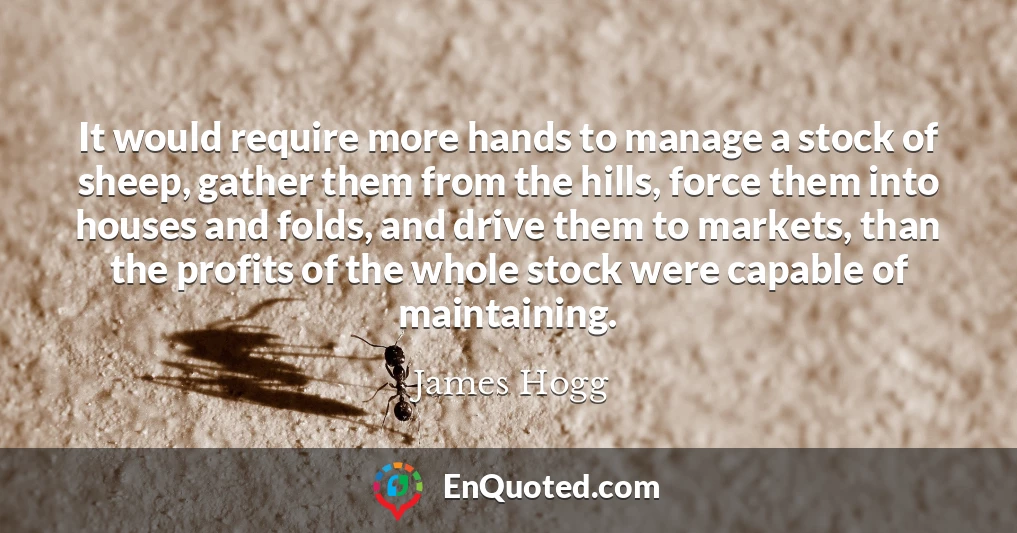 It would require more hands to manage a stock of sheep, gather them from the hills, force them into houses and folds, and drive them to markets, than the profits of the whole stock were capable of maintaining.