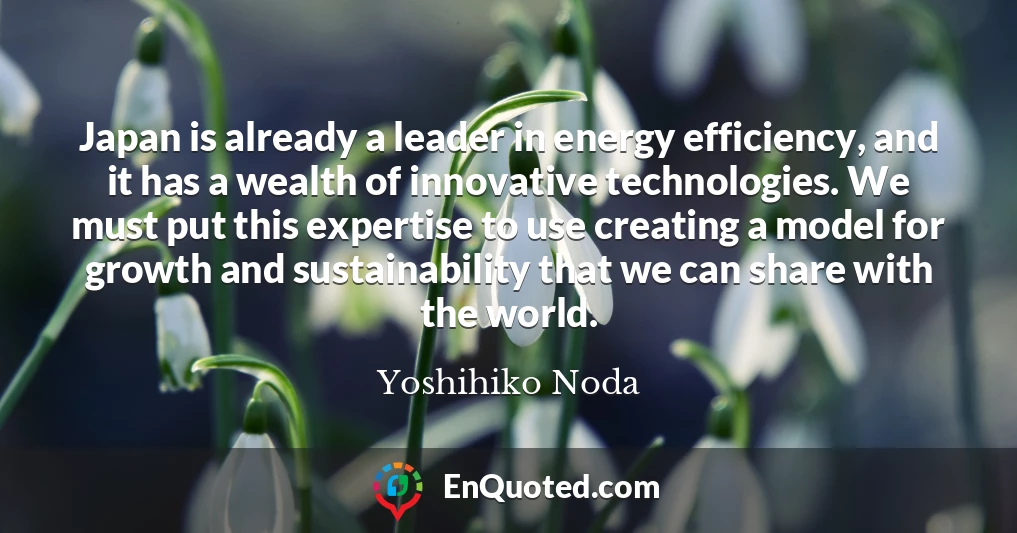 Japan is already a leader in energy efficiency, and it has a wealth of innovative technologies. We must put this expertise to use creating a model for growth and sustainability that we can share with the world.
