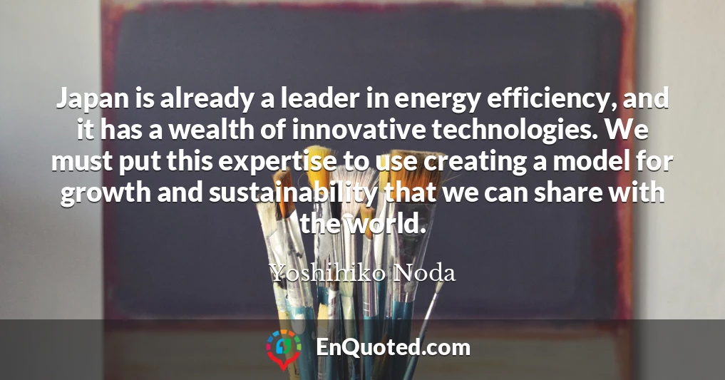 Japan is already a leader in energy efficiency, and it has a wealth of innovative technologies. We must put this expertise to use creating a model for growth and sustainability that we can share with the world.