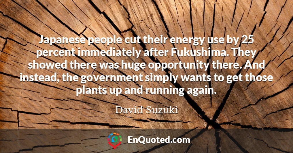 Japanese people cut their energy use by 25 percent immediately after Fukushima. They showed there was huge opportunity there. And instead, the government simply wants to get those plants up and running again.