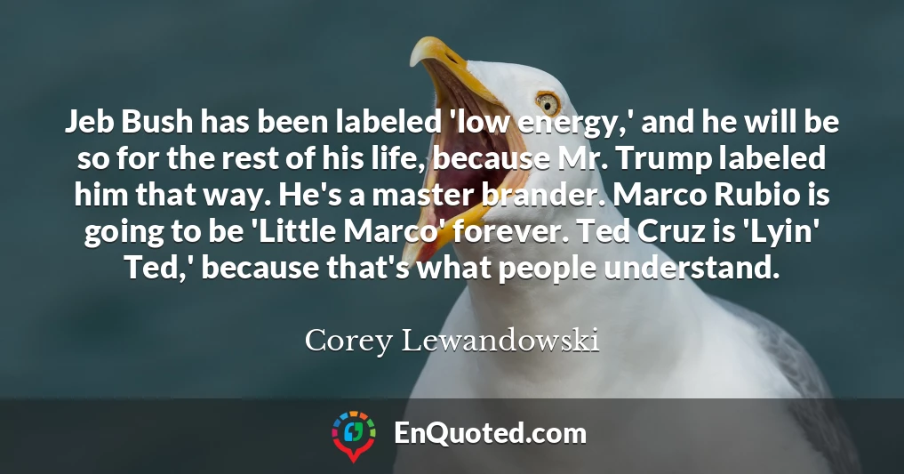 Jeb Bush has been labeled 'low energy,' and he will be so for the rest of his life, because Mr. Trump labeled him that way. He's a master brander. Marco Rubio is going to be 'Little Marco' forever. Ted Cruz is 'Lyin' Ted,' because that's what people understand.
