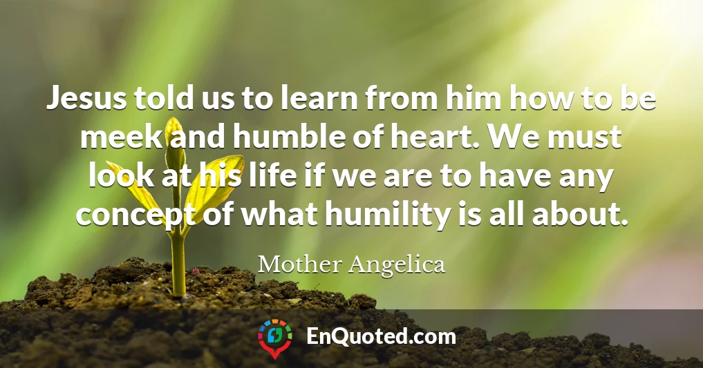 Jesus told us to learn from him how to be meek and humble of heart. We must look at his life if we are to have any concept of what humility is all about.
