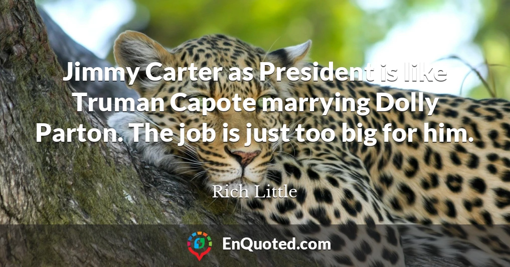 Jimmy Carter as President is like Truman Capote marrying Dolly Parton. The job is just too big for him.