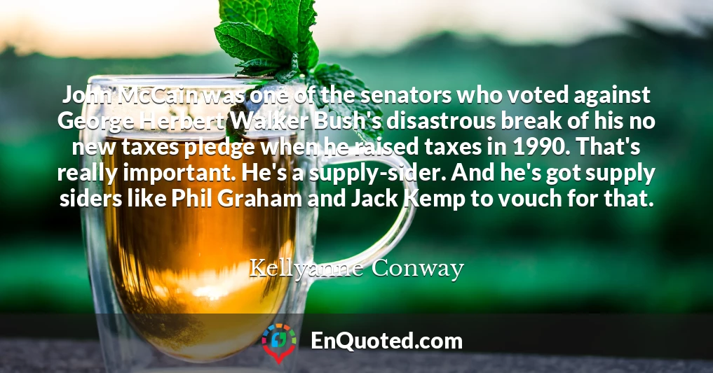 John McCain was one of the senators who voted against George Herbert Walker Bush's disastrous break of his no new taxes pledge when he raised taxes in 1990. That's really important. He's a supply-sider. And he's got supply siders like Phil Graham and Jack Kemp to vouch for that.