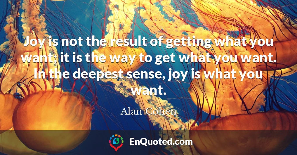 Joy is not the result of getting what you want; it is the way to get what you want. In the deepest sense, joy is what you want.
