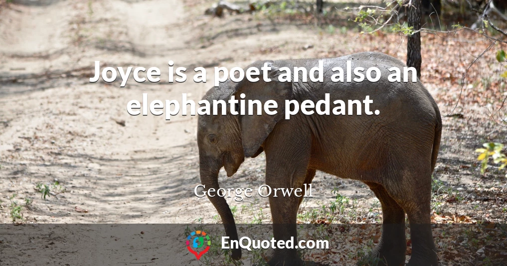 Joyce is a poet and also an elephantine pedant.
