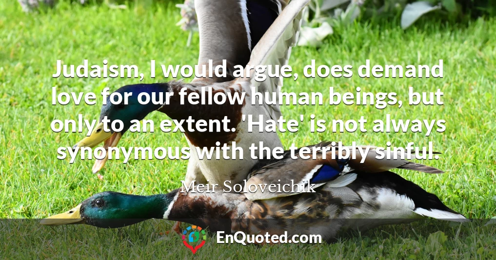 Judaism, I would argue, does demand love for our fellow human beings, but only to an extent. 'Hate' is not always synonymous with the terribly sinful.