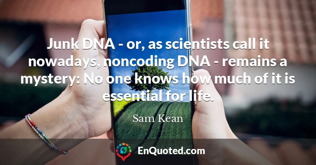 Junk DNA - or, as scientists call it nowadays, noncoding DNA - remains a mystery: No one knows how much of it is essential for life.