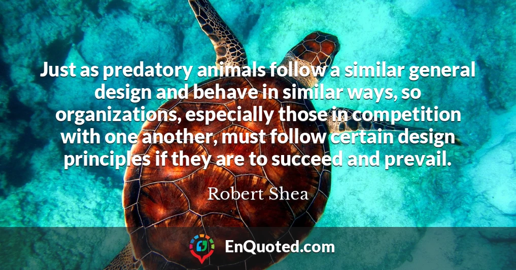 Just as predatory animals follow a similar general design and behave in similar ways, so organizations, especially those in competition with one another, must follow certain design principles if they are to succeed and prevail.