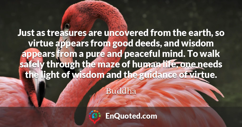 Just as treasures are uncovered from the earth, so virtue appears from good deeds, and wisdom appears from a pure and peaceful mind. To walk safely through the maze of human life, one needs the light of wisdom and the guidance of virtue.