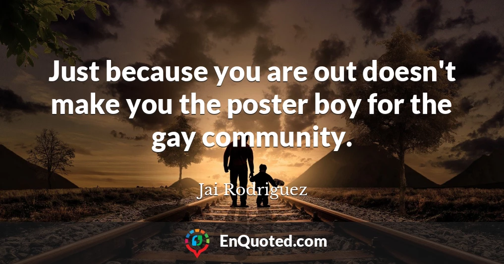 Just because you are out doesn't make you the poster boy for the gay community.