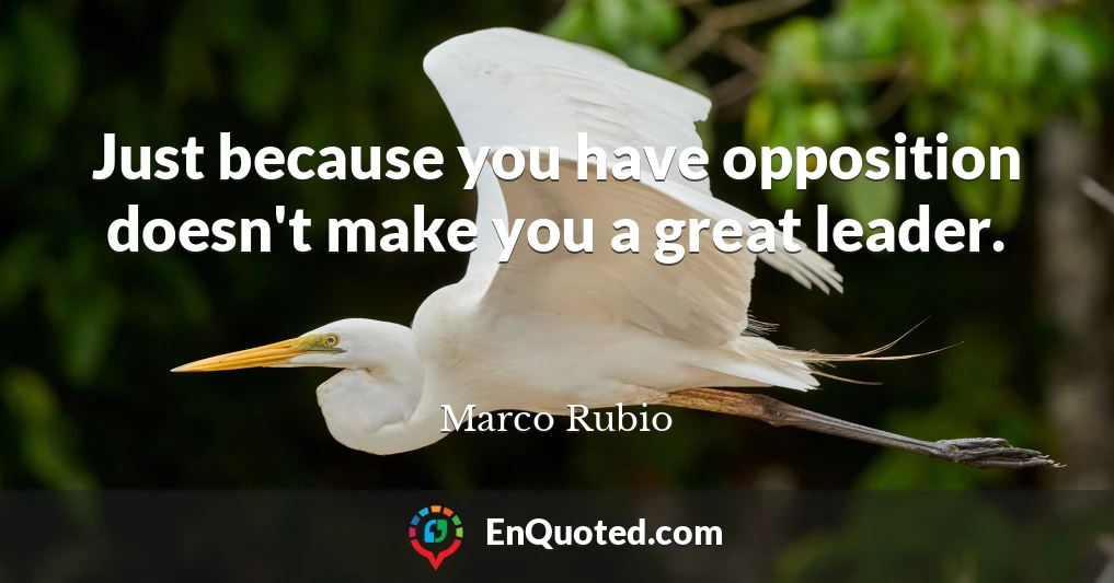 Just because you have opposition doesn't make you a great leader.