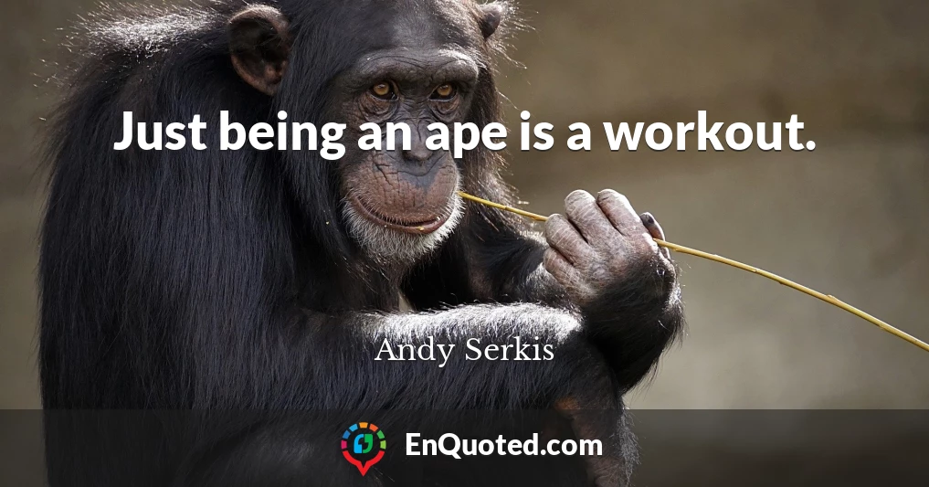 Just being an ape is a workout.