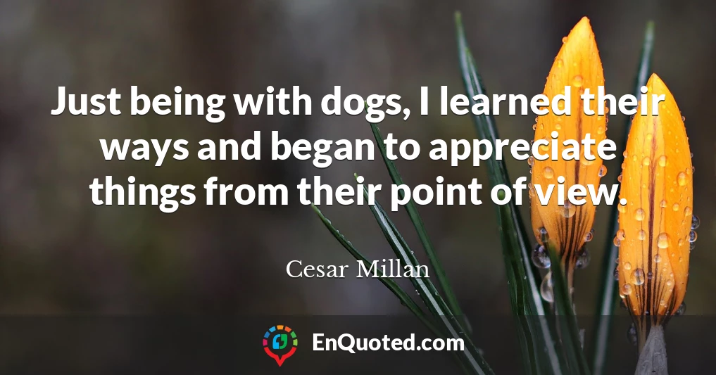 Just being with dogs, I learned their ways and began to appreciate things from their point of view.