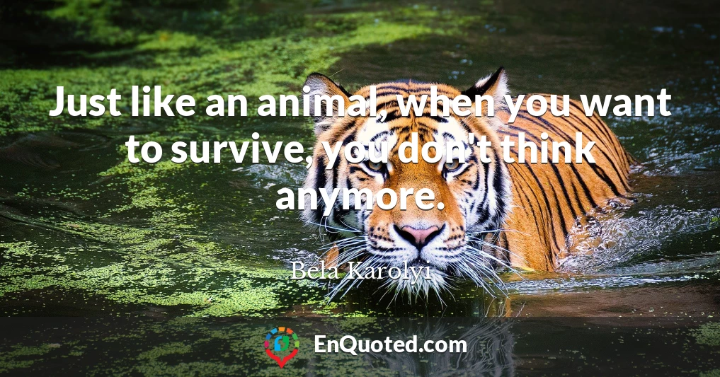 Just like an animal, when you want to survive, you don't think anymore.