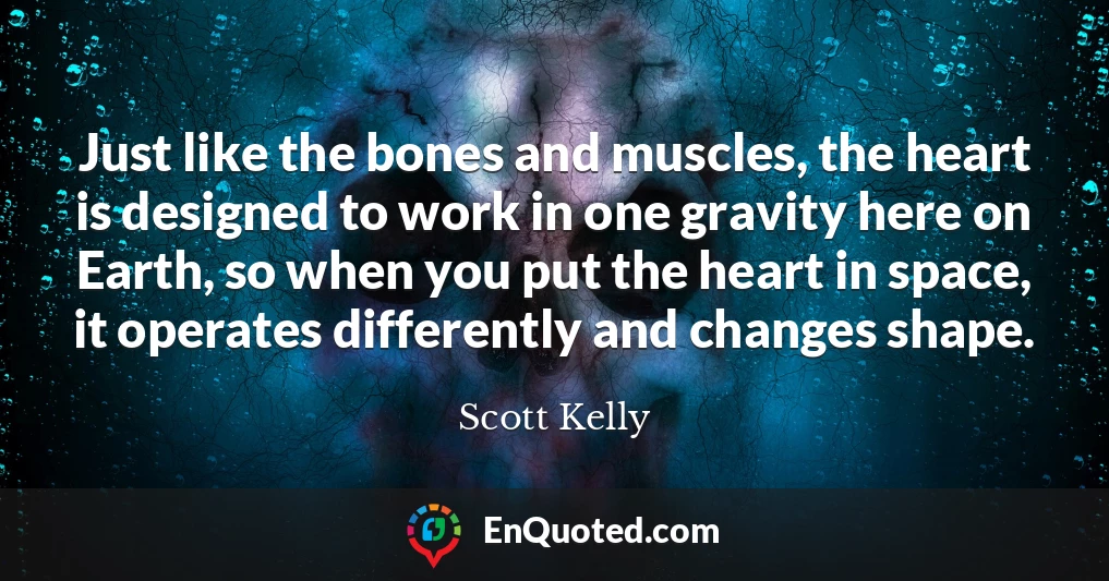 Just like the bones and muscles, the heart is designed to work in one gravity here on Earth, so when you put the heart in space, it operates differently and changes shape.