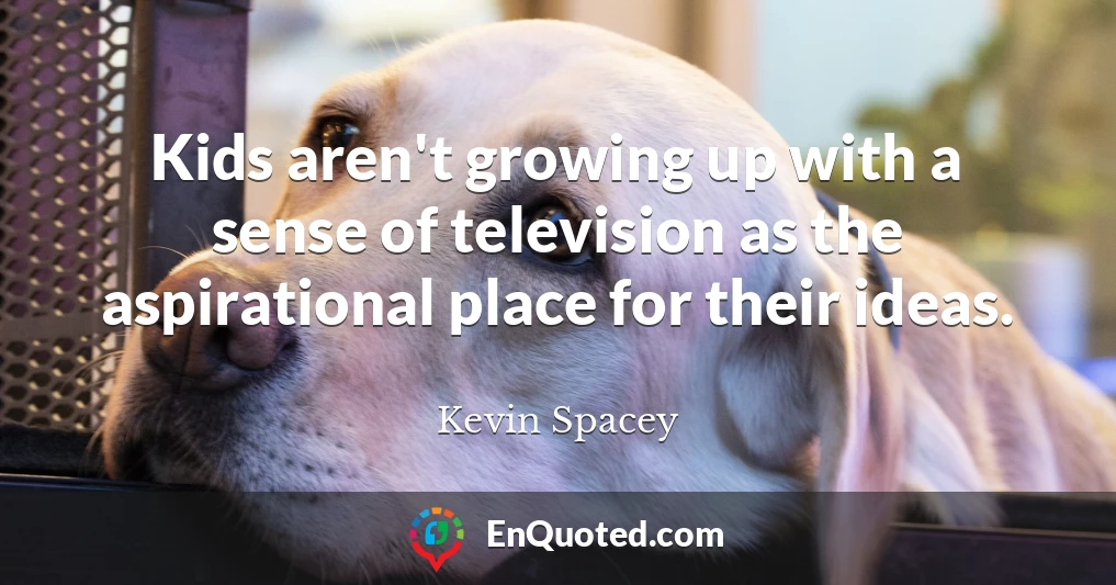 Kids aren't growing up with a sense of television as the aspirational place for their ideas.