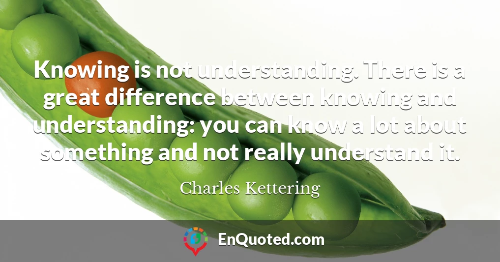 Knowing is not understanding. There is a great difference between knowing and understanding: you can know a lot about something and not really understand it.