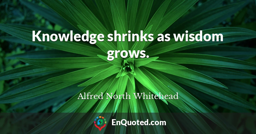Knowledge shrinks as wisdom grows.
