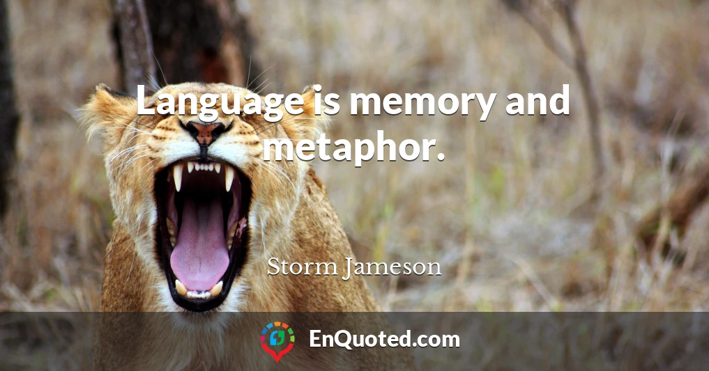 Language is memory and metaphor.