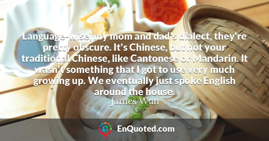 Language-wise, my mom and dad's dialect, they're pretty obscure. It's Chinese, but not your traditional Chinese, like Cantonese or Mandarin. It wasn't something that I got to use very much growing up. We eventually just spoke English around the house.