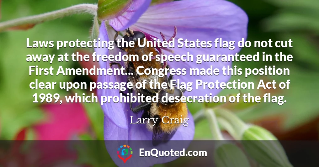 Laws protecting the United States flag do not cut away at the freedom of speech guaranteed in the First Amendment... Congress made this position clear upon passage of the Flag Protection Act of 1989, which prohibited desecration of the flag.