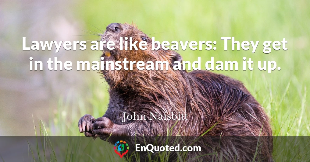 Lawyers are like beavers: They get in the mainstream and dam it up.
