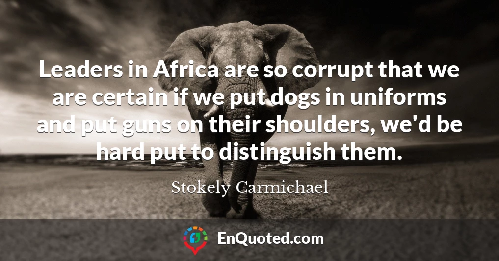 Leaders in Africa are so corrupt that we are certain if we put dogs in uniforms and put guns on their shoulders, we'd be hard put to distinguish them.