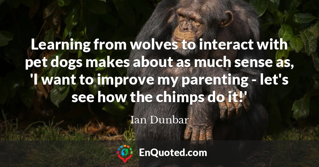 Learning from wolves to interact with pet dogs makes about as much sense as, 'I want to improve my parenting - let's see how the chimps do it!'