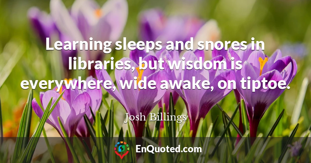 Learning sleeps and snores in libraries, but wisdom is everywhere, wide awake, on tiptoe.