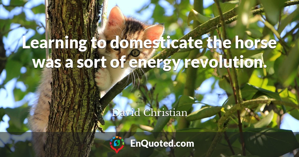 Learning to domesticate the horse was a sort of energy revolution.