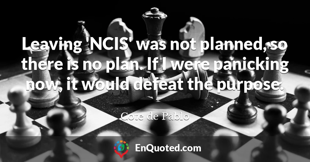 Leaving 'NCIS' was not planned, so there is no plan. If I were panicking now, it would defeat the purpose.