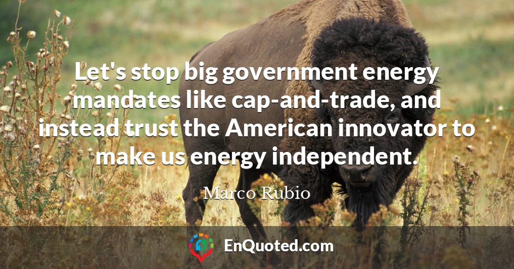 Let's stop big government energy mandates like cap-and-trade, and instead trust the American innovator to make us energy independent.