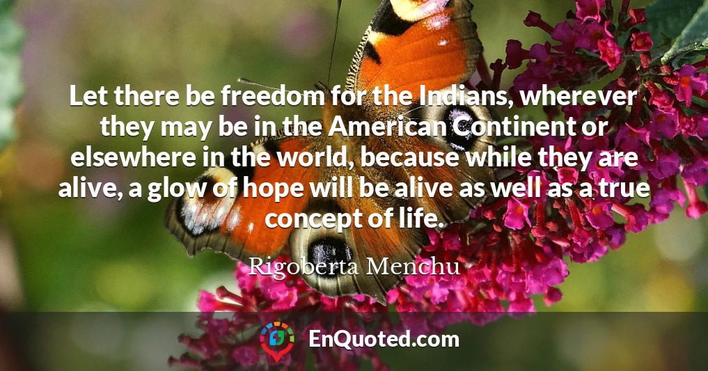 Let there be freedom for the Indians, wherever they may be in the American Continent or elsewhere in the world, because while they are alive, a glow of hope will be alive as well as a true concept of life.