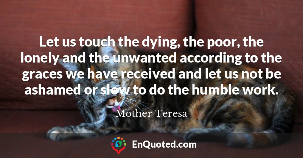 Let us touch the dying, the poor, the lonely and the unwanted according to the graces we have received and let us not be ashamed or slow to do the humble work.