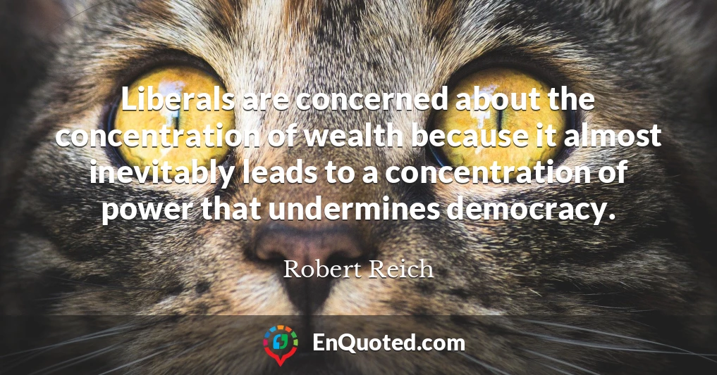 Liberals are concerned about the concentration of wealth because it almost inevitably leads to a concentration of power that undermines democracy.