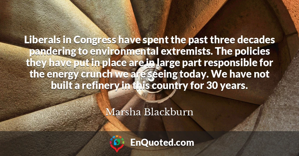 Liberals in Congress have spent the past three decades pandering to environmental extremists. The policies they have put in place are in large part responsible for the energy crunch we are seeing today. We have not built a refinery in this country for 30 years.