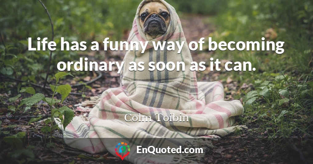 Life has a funny way of becoming ordinary as soon as it can.