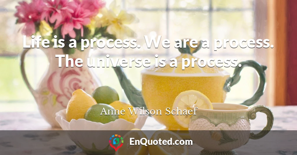 Life is a process. We are a process. The universe is a process.