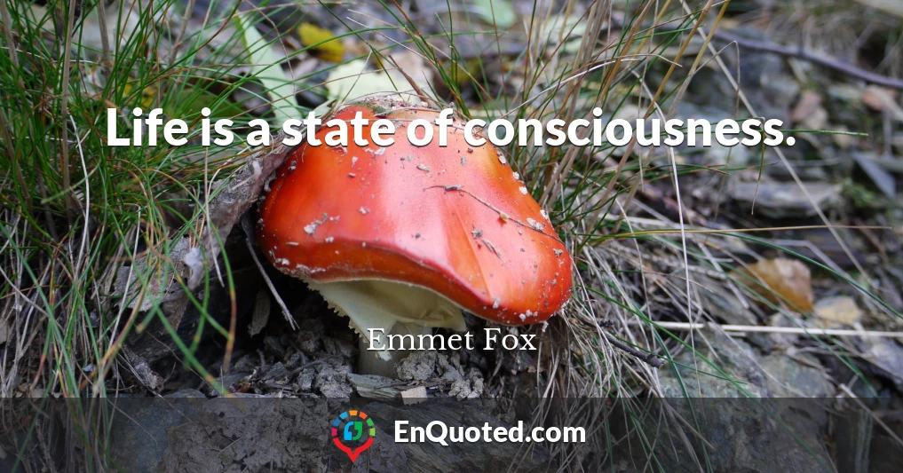 Life is a state of consciousness.