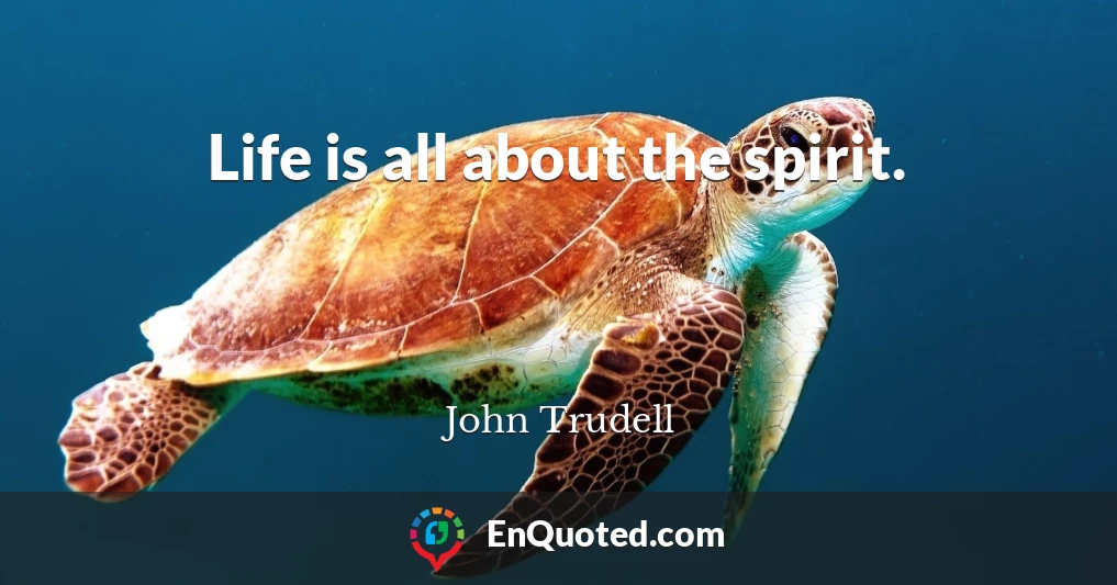 Life is all about the spirit.