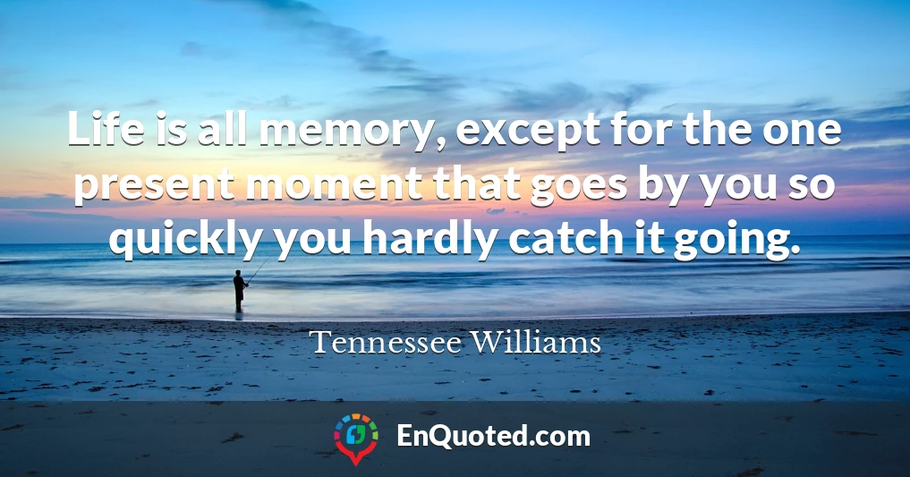 Life is all memory, except for the one present moment that goes by you so quickly you hardly catch it going.