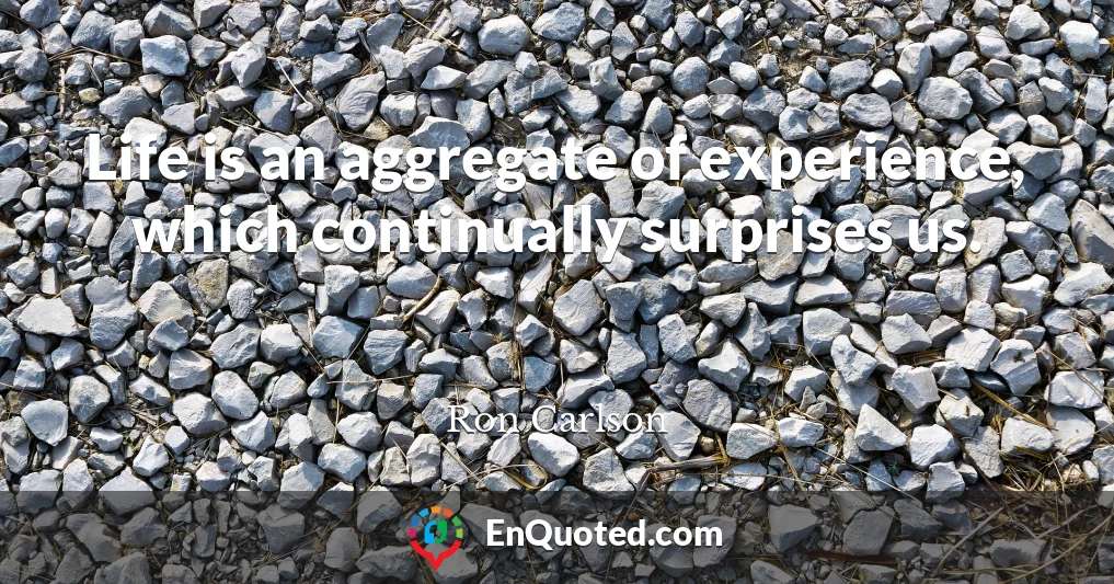 Life is an aggregate of experience, which continually surprises us.