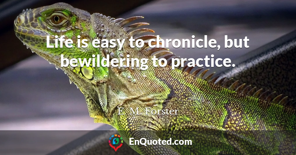 Life is easy to chronicle, but bewildering to practice.
