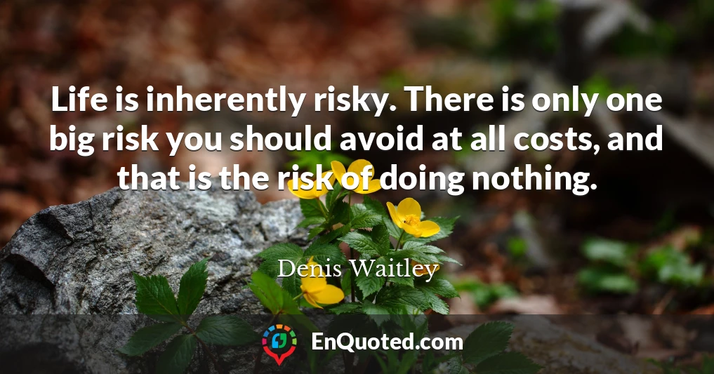 Life is inherently risky. There is only one big risk you should avoid at all costs, and that is the risk of doing nothing.