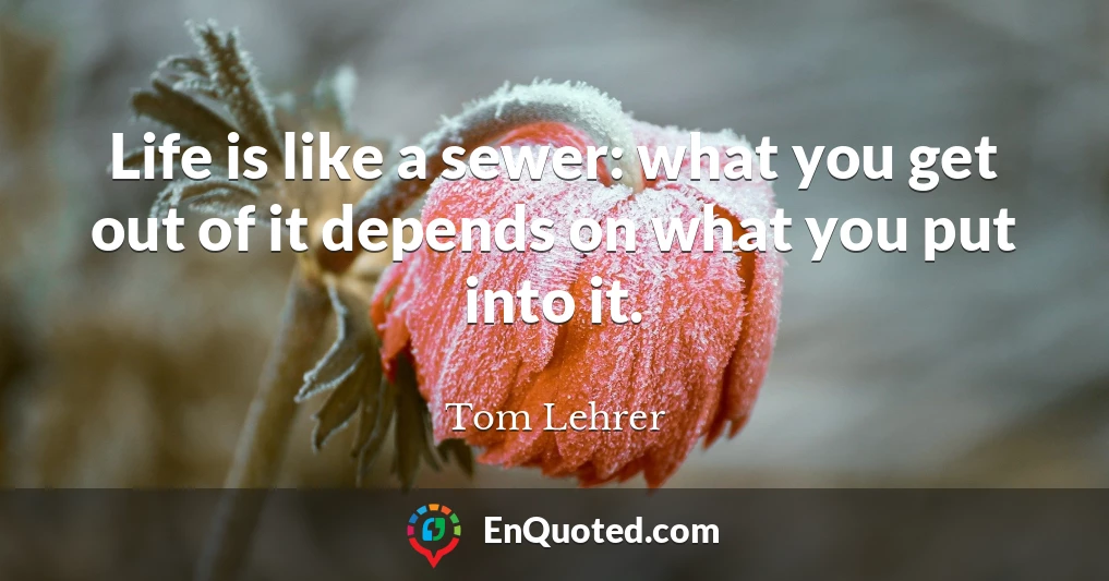 Life is like a sewer: what you get out of it depends on what you put into it.